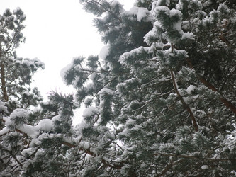 Similar image 21212745