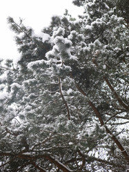 Similar image 21212747