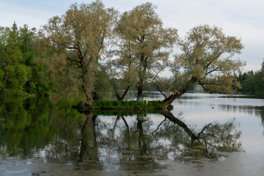 Similar image 21210949