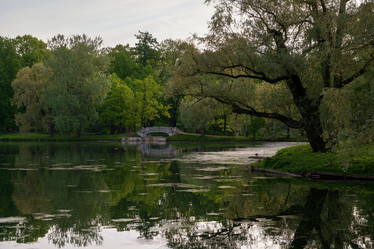 Similar image 21214348