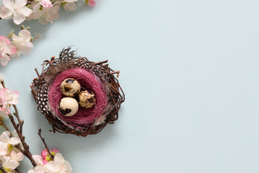 Similar image 21207650