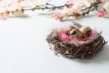 Similar image 21207654