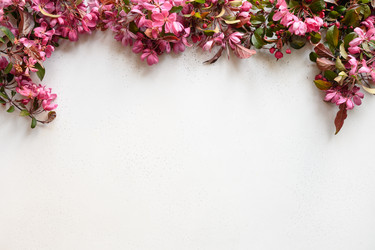 Similar image 21207662