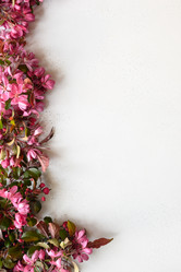 Similar image 21207665