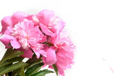 Similar image 21207670