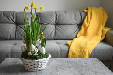 Similar image 21204088