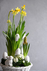 Similar image 21204090