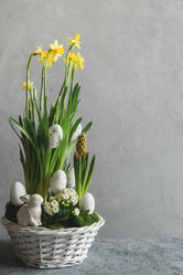 Similar image 21204106