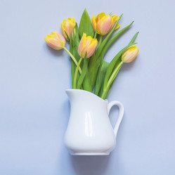 Similar image 21204116