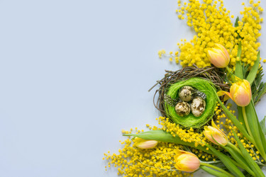 Similar image 21204117