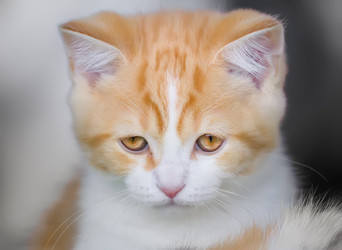 Similar image 21209104