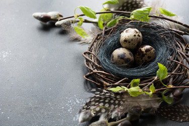 Similar image 21204143