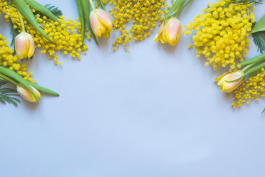 Similar image 21204147