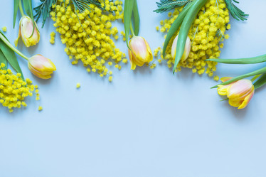 Similar image 21204156