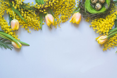 Similar image 21204157