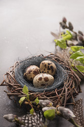 Similar image 21204177