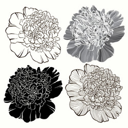 Similar image 21222029