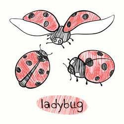 Similar image 21222040