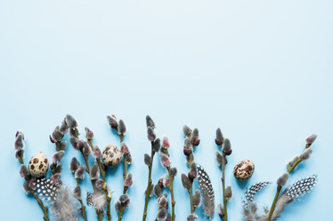 Similar image 21204181