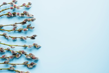 Similar image 21204183