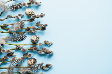 Similar image 21204185