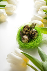 Similar image 21207706