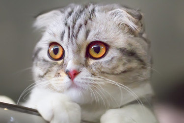 Similar image 21209105