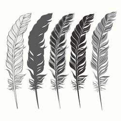 Similar image 21222062