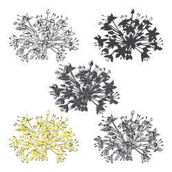 Similar image 21222113