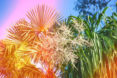 Similar image 21205154