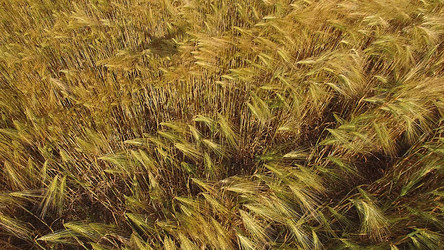 Similar image 21205160