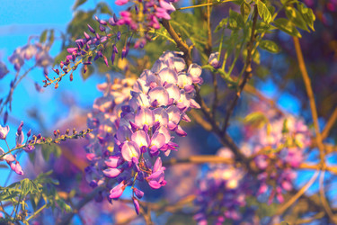 Similar image 21205164