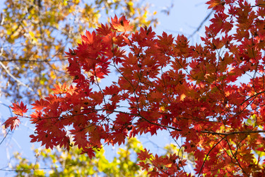 Similar image 21205168