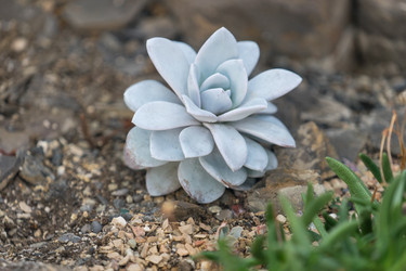 Similar image 21206224