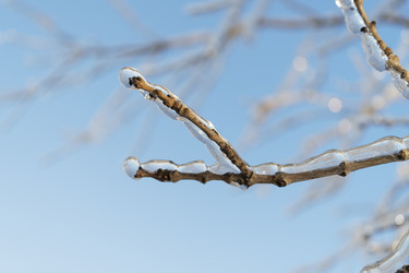 Similar image 21206225