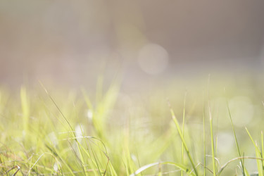 Similar image 21205231