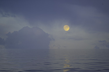 Similar image 21205253