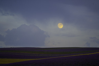 Similar image 21206266