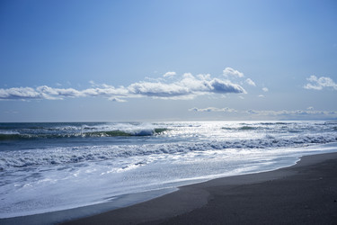 Similar image 21205265