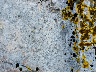 Similar image 21204727