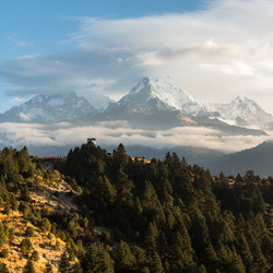 Similar image 21204733