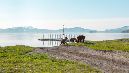 Similar image 21204739