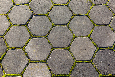 Similar image 21204749