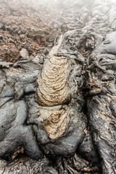 Similar image 21204758