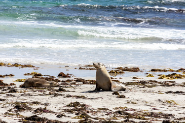 Similar image 21204761