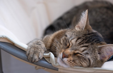 Similar image 21207723