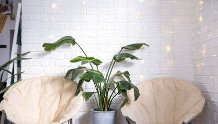 Similar image 21208081