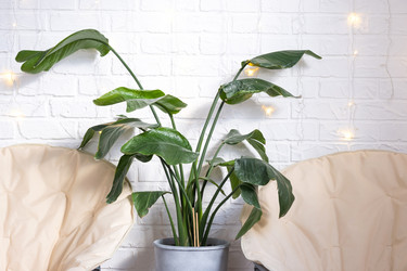 Similar image 21208083