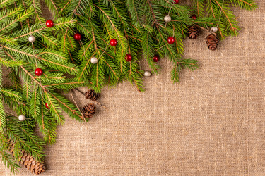 Similar image 21208900