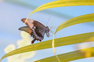 Similar image 21209106